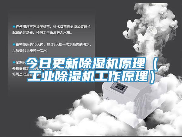 今日更新草莓污视频在线看原理（工業草莓污视频在线看工作原理）