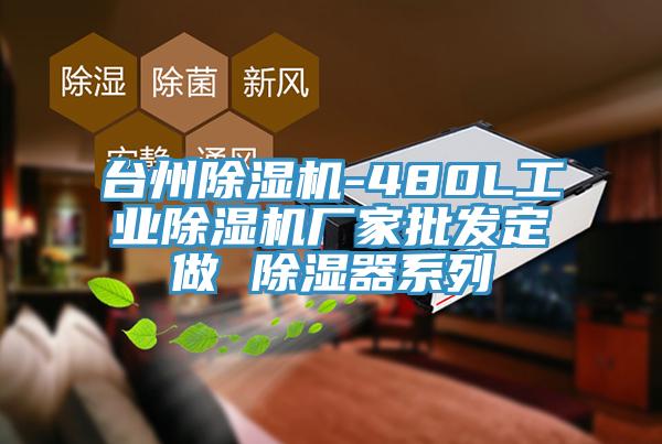 台州草莓污视频在线看-480L工業草莓污视频在线看廠家批發定做 除濕器係列