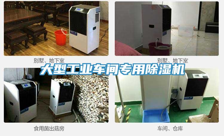 大型工業車間專用草莓污视频在线看