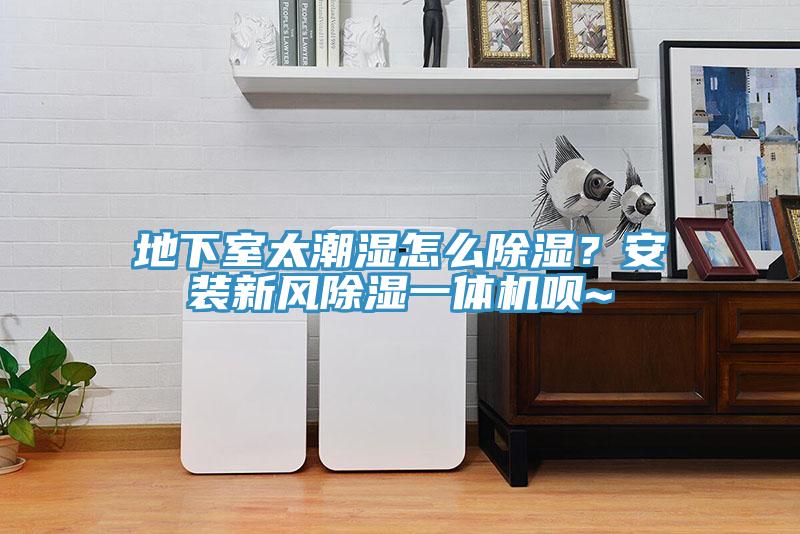 地下室太潮濕怎麽除濕？安裝新風除濕一體機唄~