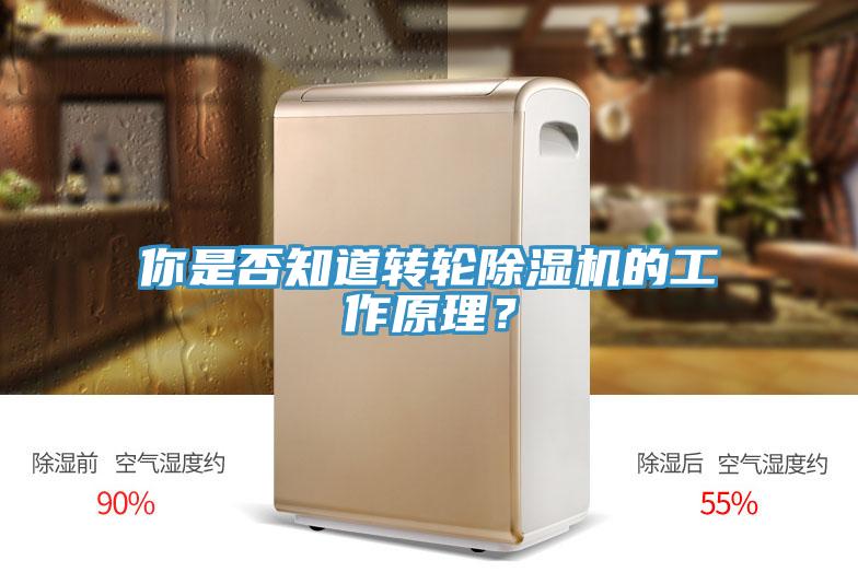 你是否知道轉輪草莓污视频在线看的工作原理？