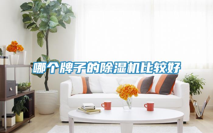 哪個牌子的草莓污视频在线看比較好