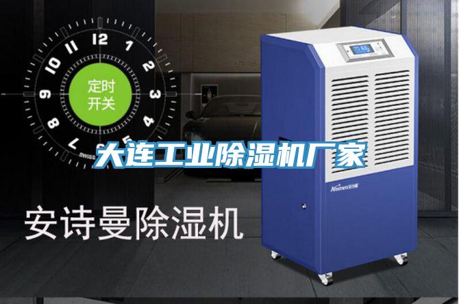 大連工業草莓污视频在线看廠家