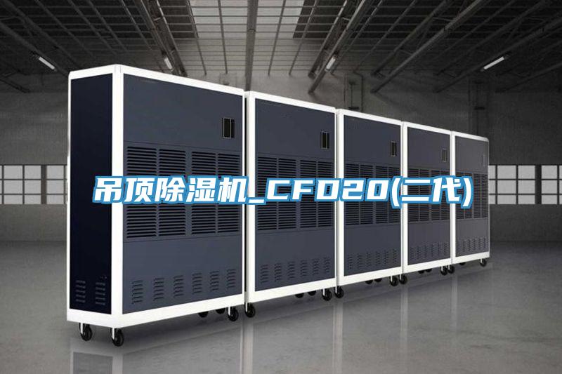 吊頂草莓污视频在线看_CFD20(二代)