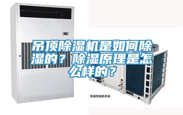 吊頂草莓污视频在线看是如何除濕的？除濕原理是怎麽樣的？
