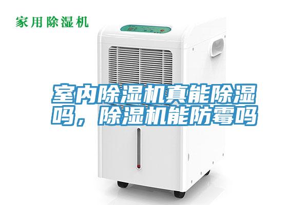 室內草莓污视频在线看真能除濕嗎，草莓污视频在线看能防黴嗎