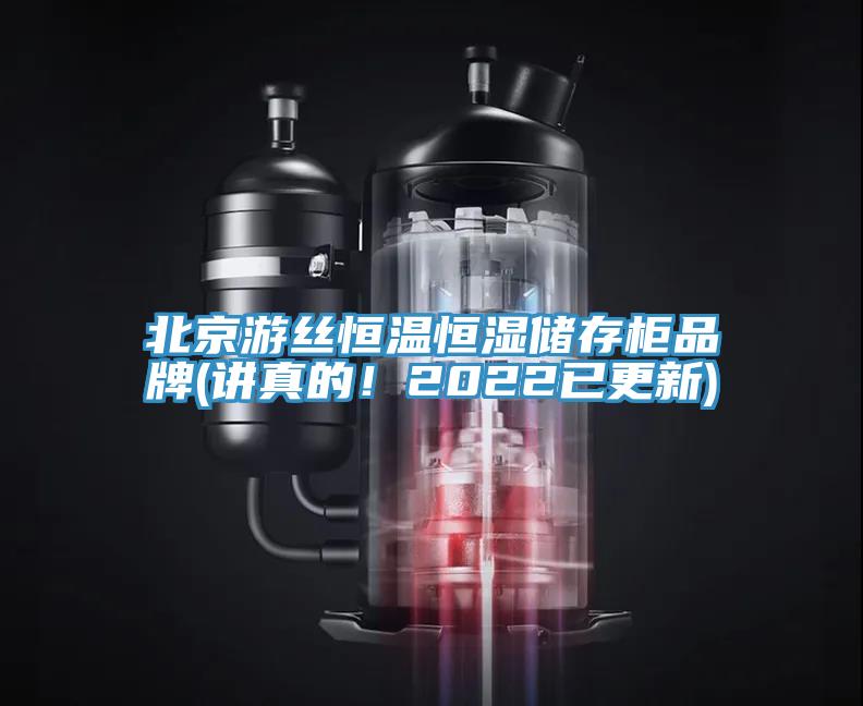北京遊絲恒溫恒濕儲存櫃品牌(講真的！2022已更新)