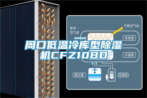 周口低溫冷庫型草莓污视频在线看CFZ10BD