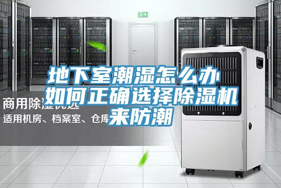 地下室潮濕怎麽辦 如何正確選擇草莓污视频在线看來防潮