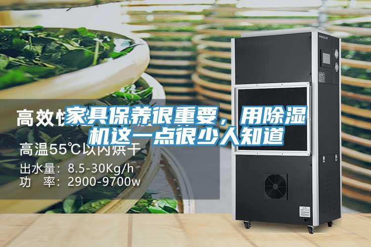 家具保養很重要，用草莓污视频在线看這一點很少人知道