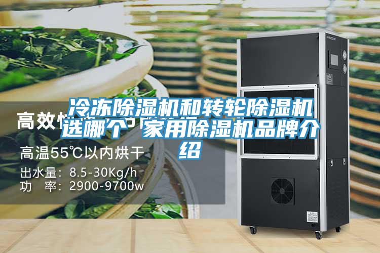 冷凍草莓污视频在线看和轉輪草莓污视频在线看選哪個 家用草莓污视频在线看品牌介紹