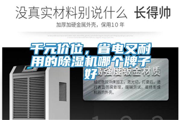 千元價位，省電又耐用的草莓污视频在线看哪個牌子好