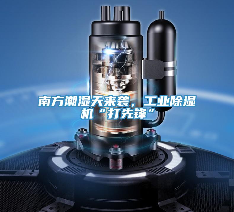 南方潮濕天來襲，工業草莓污视频在线看“打先鋒”