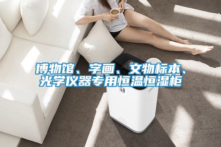 博物館、字畫、文物標本、光學儀器專用恒溫恒濕櫃