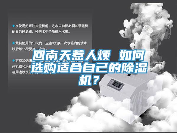 回南天惹人煩 如何選購適合自己的草莓污视频在线看？