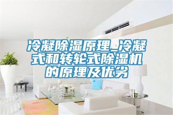 冷凝除濕原理_冷凝式和轉輪式草莓污视频在线看的原理及優劣
