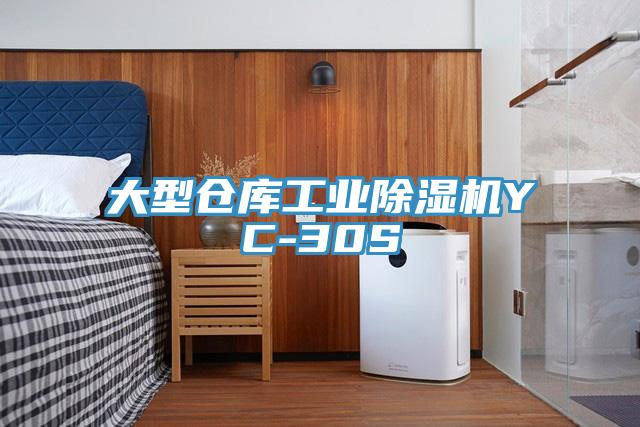 大型倉庫工業草莓污视频在线看YC-30S