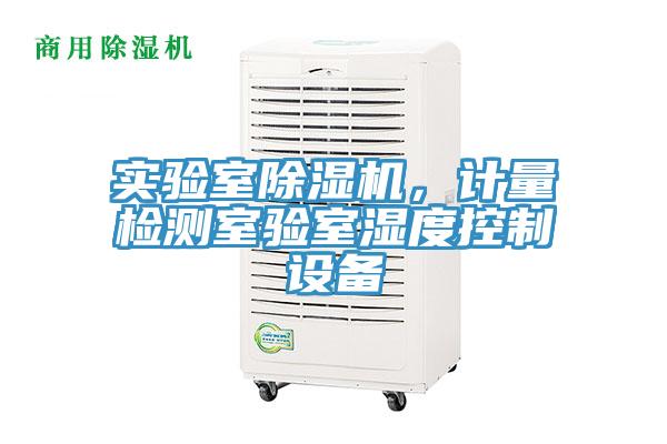實驗室草莓污视频在线看，計量檢測室驗室濕度控製設備