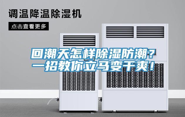 回潮天怎樣除濕防潮？一招教你立馬變幹爽！