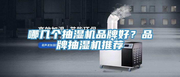 哪幾個抽濕機品牌好？品牌抽濕機推薦