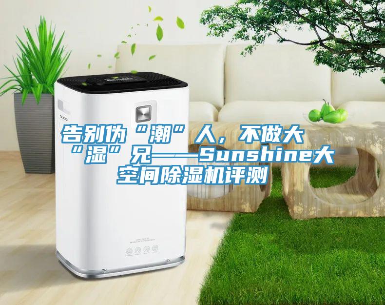 告別偽“潮”人，不做大“濕”兄——Sunshine大空間草莓污视频在线看評測