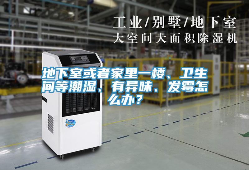 地下室或者家裏一樓、衛生間等潮濕、有異味、發黴怎麽辦？