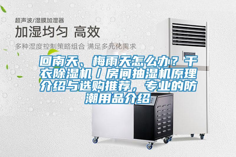 回南天、梅雨天怎麽辦？幹衣草莓污视频在线看／房間抽濕機原理介紹與選購推薦，專業的防潮用品介紹