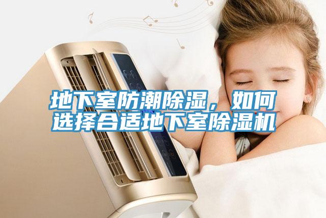 地下室防潮除濕，如何選擇合適地下室草莓污视频在线看