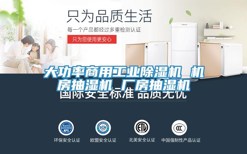 大功率商用工業草莓污视频在线看 機房抽濕機 廠房抽濕機