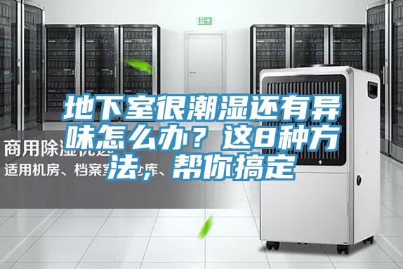 地下室很潮濕還有異味怎麽辦？這8種方法，幫你搞定