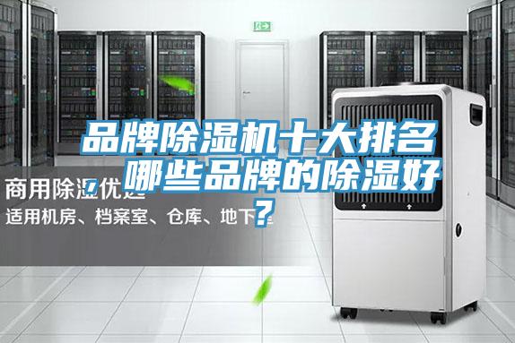 品牌草莓污视频在线看十大排名，哪些品牌的除濕好？