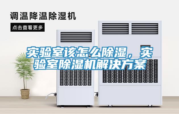 實驗室該怎麽除濕，實驗室草莓污视频在线看解決方案