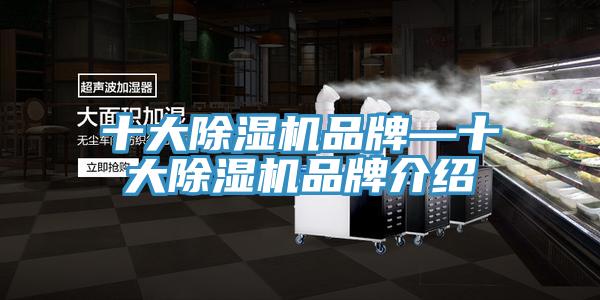 十大草莓污视频在线看品牌—十大草莓污视频在线看品牌介紹