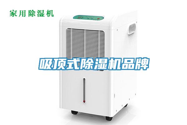 吸頂式草莓污视频在线看品牌