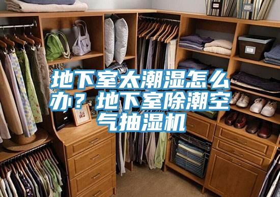 地下室太潮濕怎麽辦？地下室除潮空氣抽濕機