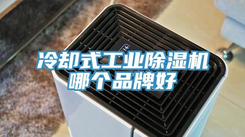 冷卻式工業草莓污视频在线看哪個品牌好