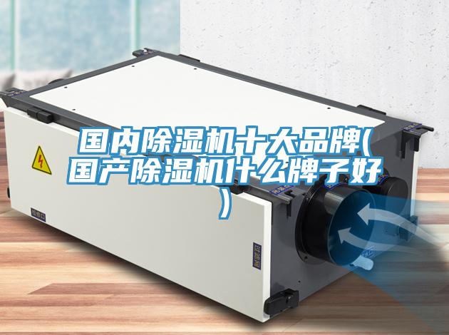 國內草莓污视频在线看十大品牌(國產草莓污视频在线看什麽牌子好)