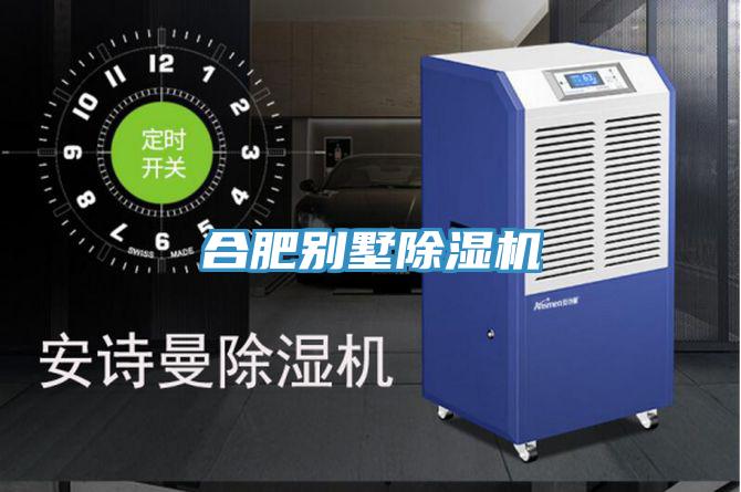 合肥別墅草莓污视频在线看