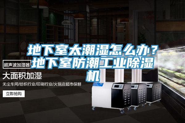 地下室太潮濕怎麽辦？地下室防潮工業草莓污视频在线看