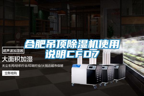 合肥吊頂草莓污视频在线看使用說明CFD7