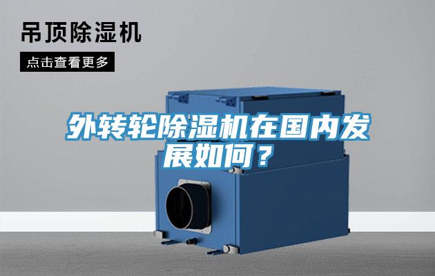 外轉輪草莓污视频在线看在國內發展如何？