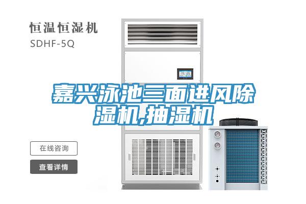 嘉興泳池三麵進風草莓污视频在线看,抽濕機