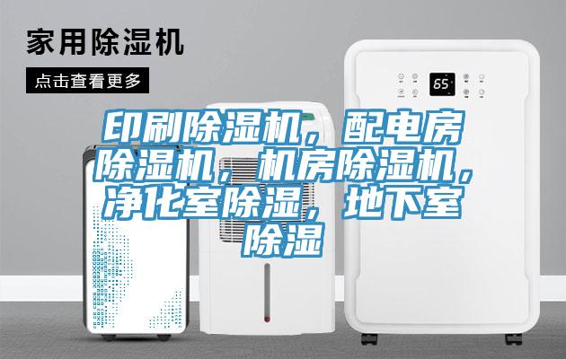 印刷草莓污视频在线看，配電房草莓污视频在线看，機房草莓污视频在线看，淨化室除濕，地下室除濕