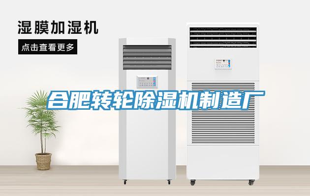 合肥轉輪草莓污视频在线看製造廠