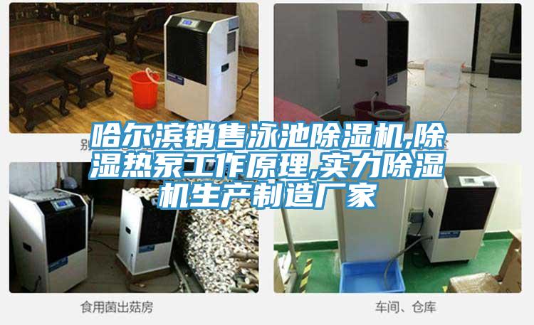 哈爾濱銷售泳池草莓污视频在线看,除濕熱泵工作原理,實力草莓污视频在线看生產製造廠家