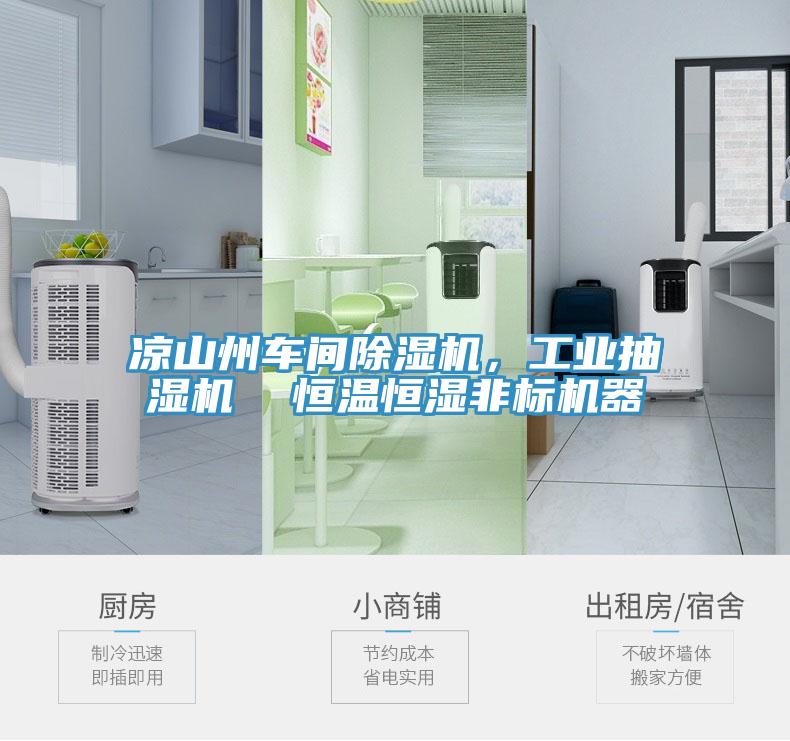 涼山州車間草莓污视频在线看，工業抽濕機  恒溫恒濕非標機器