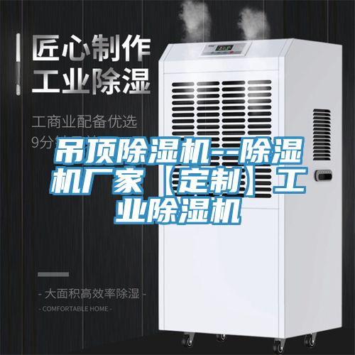 吊頂草莓污视频在线看--草莓污视频在线看廠家【定製】工業草莓污视频在线看