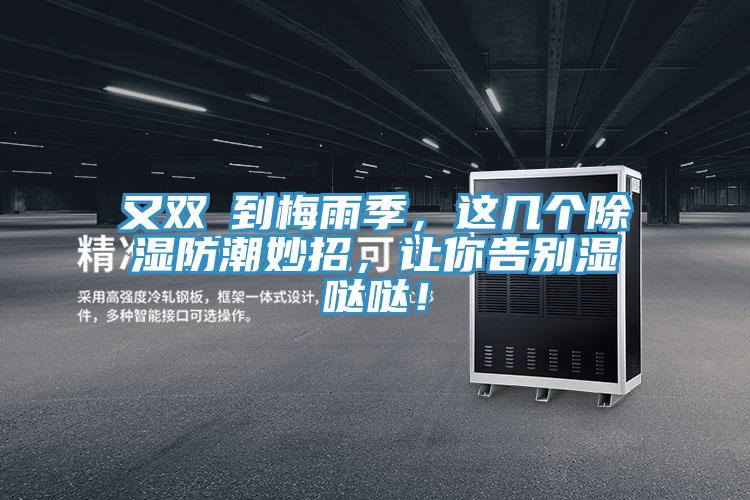 又雙叒到梅雨季，這幾個除濕防潮妙招，讓你告別濕噠噠！