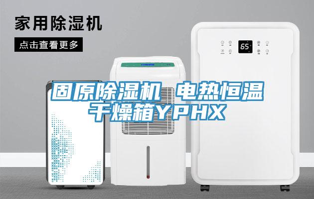 固原草莓污视频在线看 電熱恒溫幹燥箱YPHX