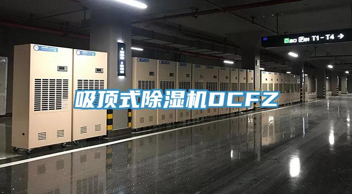吸頂式草莓污视频在线看DCFZ